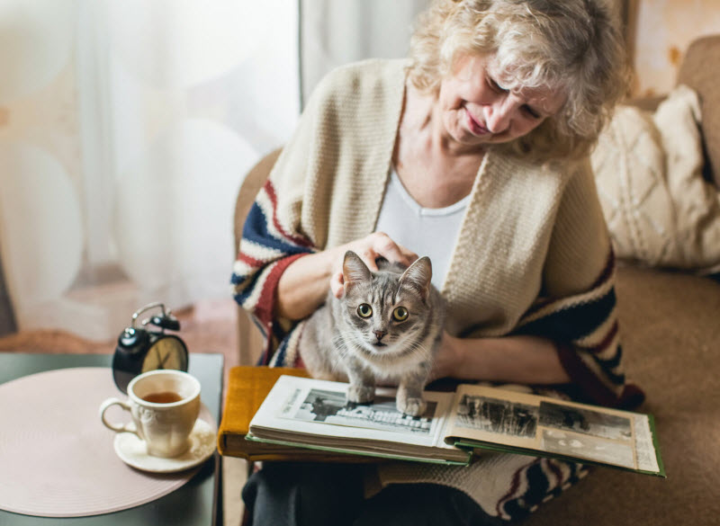 an elderly woman watching photo album with a cat on her lap